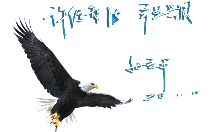 品質管控